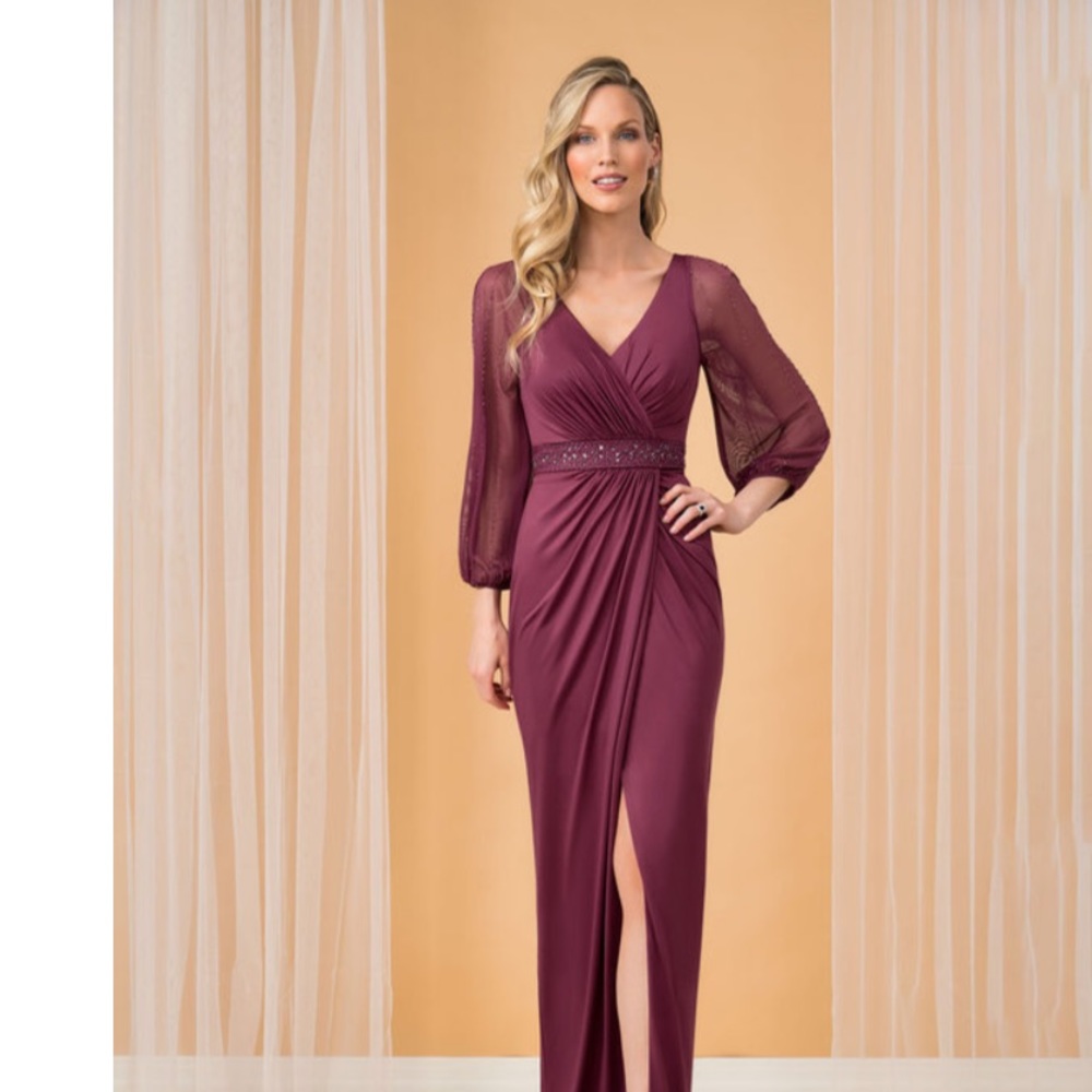 NWT dress in Cabernet
